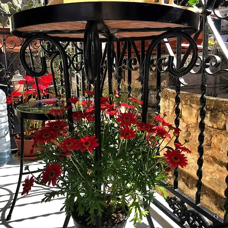 Terra D'amuri Apartament *